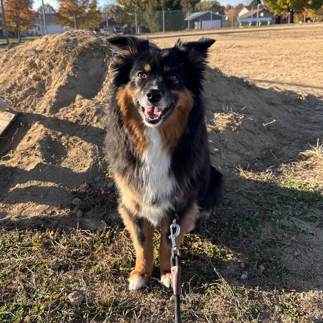 Hudson — thumbnail 6