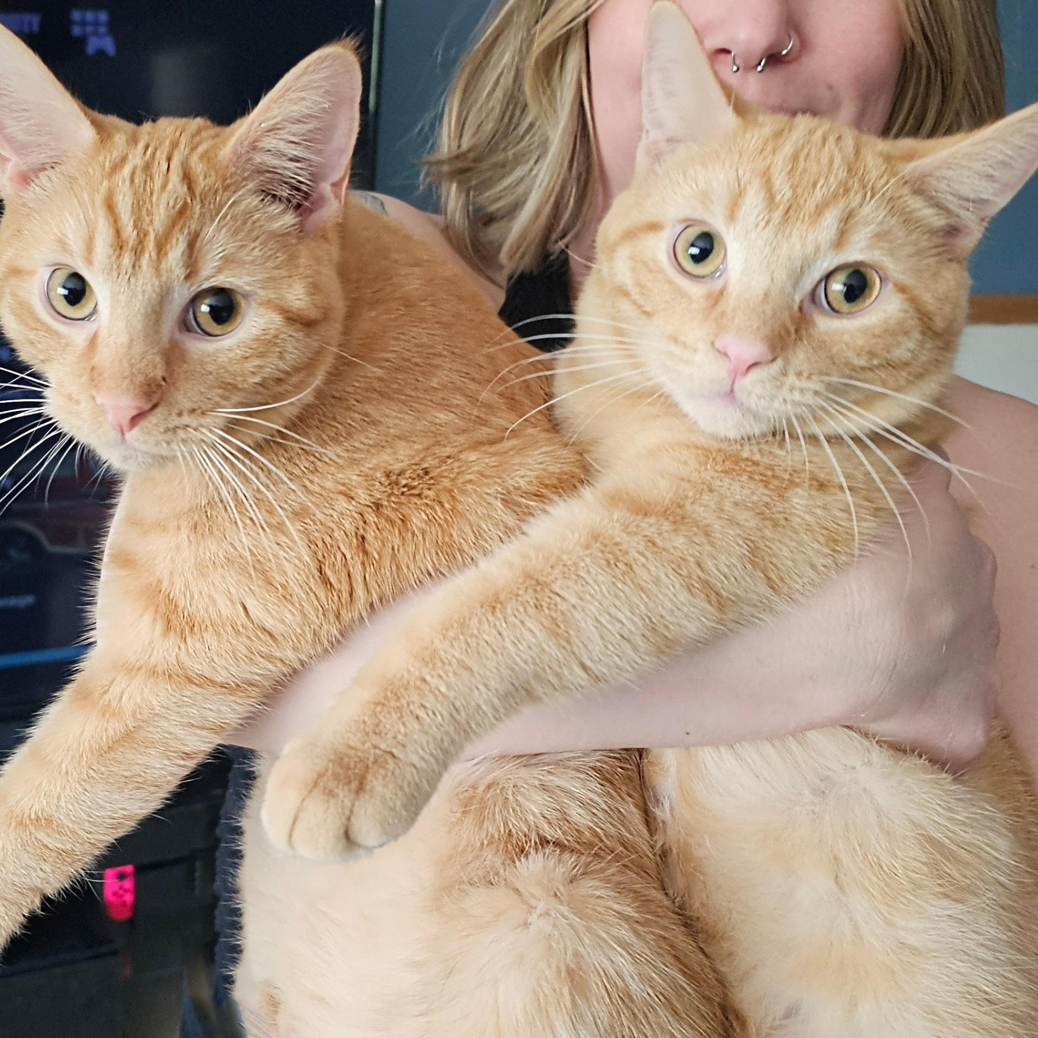 Hamish and Rowan