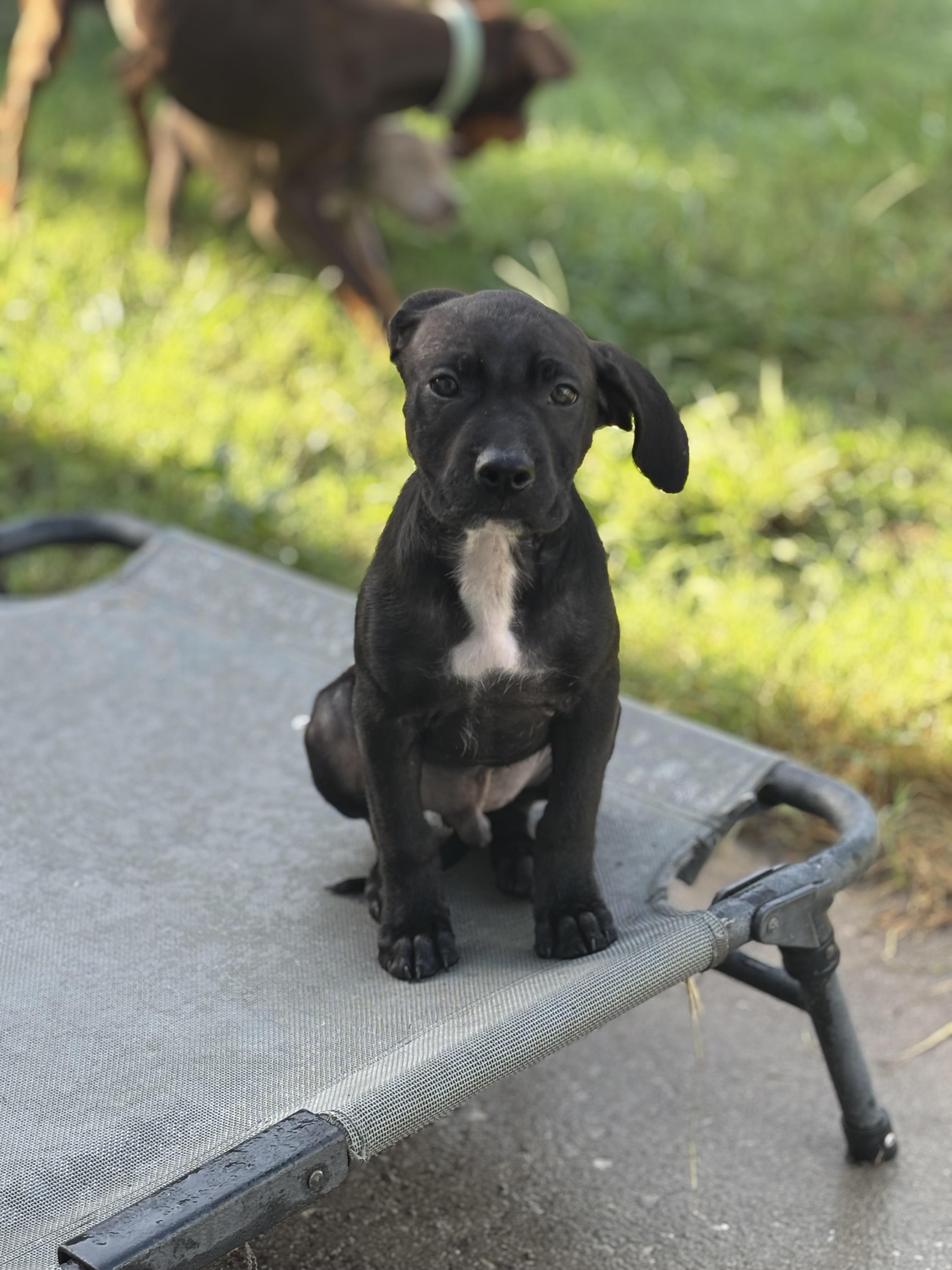 Wrangler, Baby Male unknown