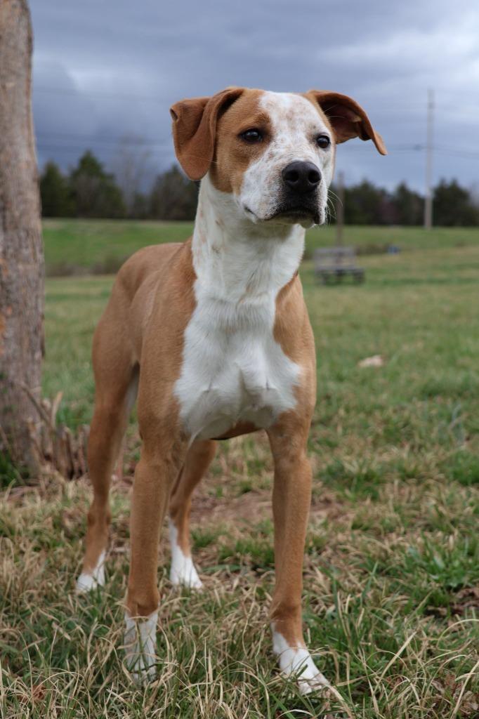 Fritter — thumbnail 5