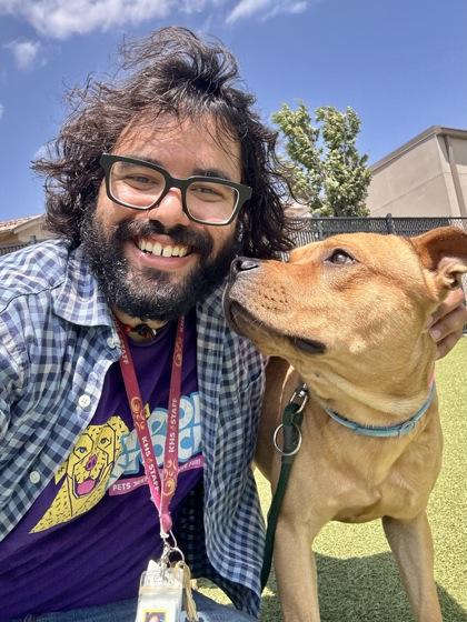 Spork, a Adoptable mixed breed in Wichita, KS image 2/3