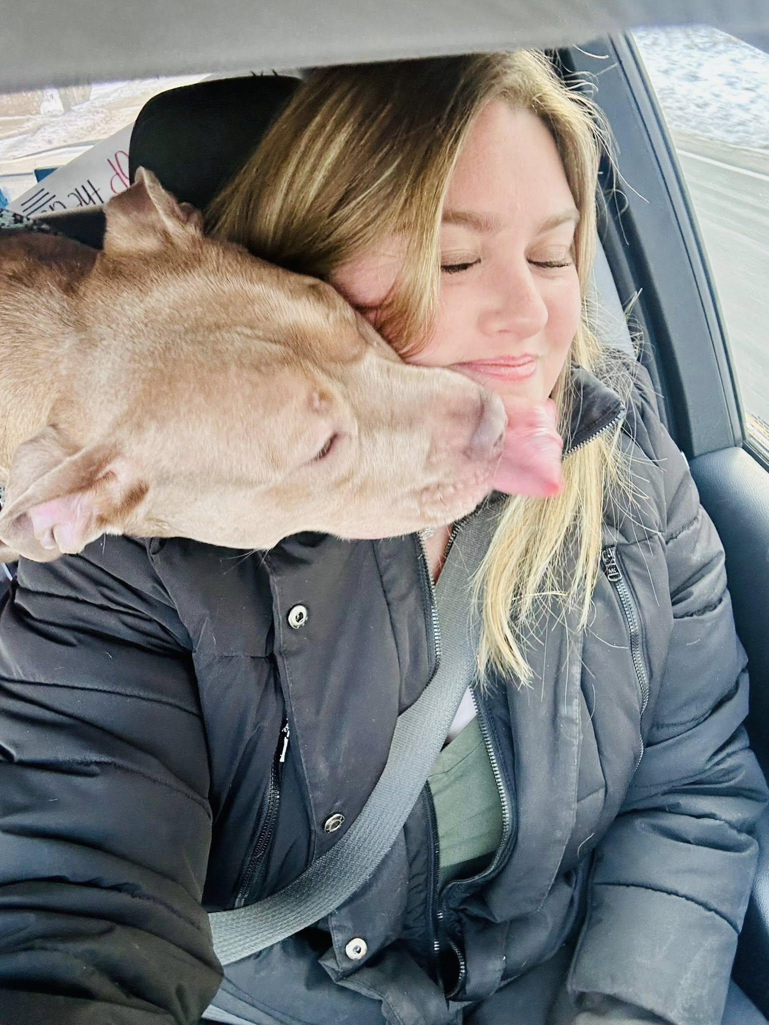 Lola, a Adoptable Pit Bull Terrier in Northport, NY image 5/6