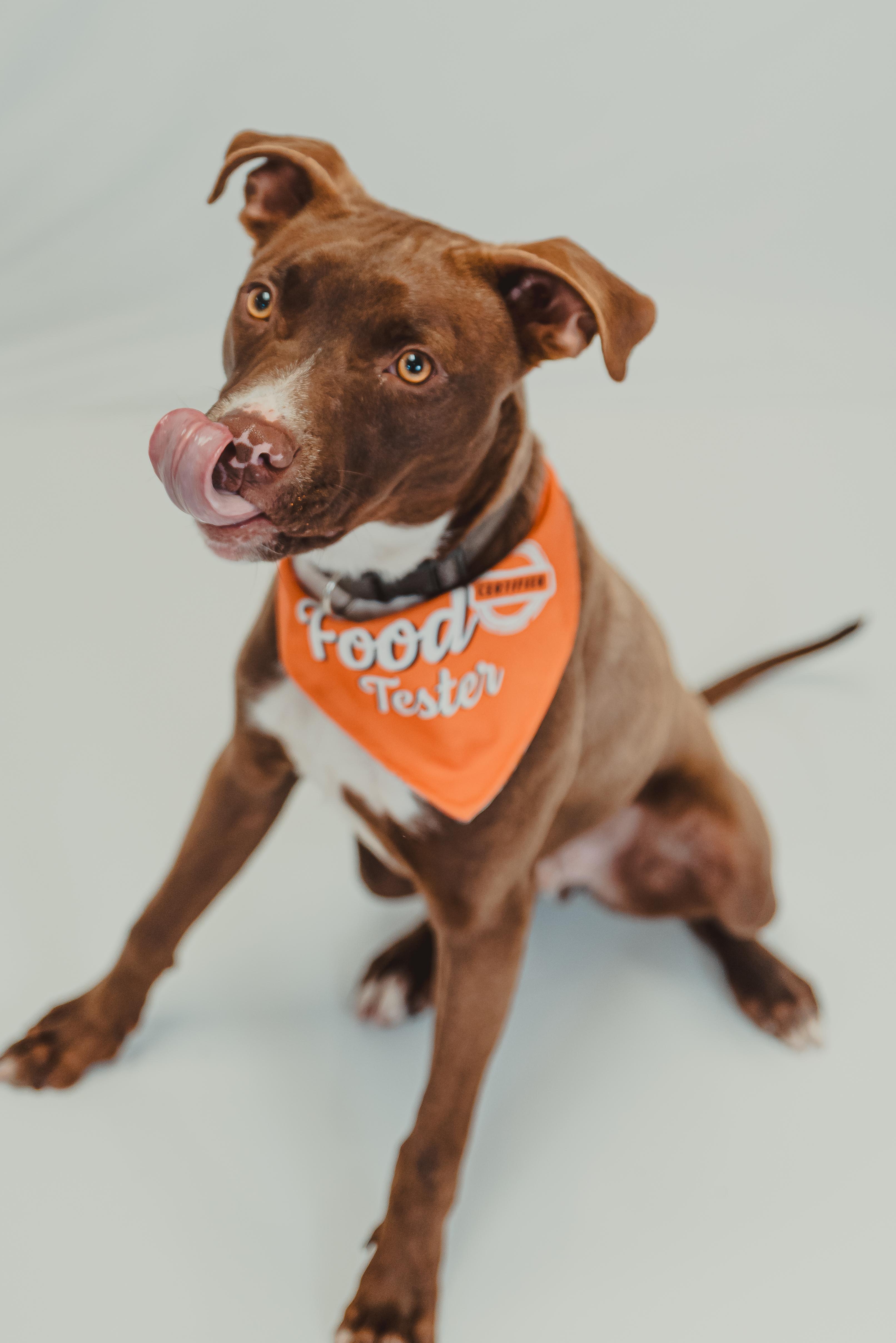 Hermit — thumbnail 4