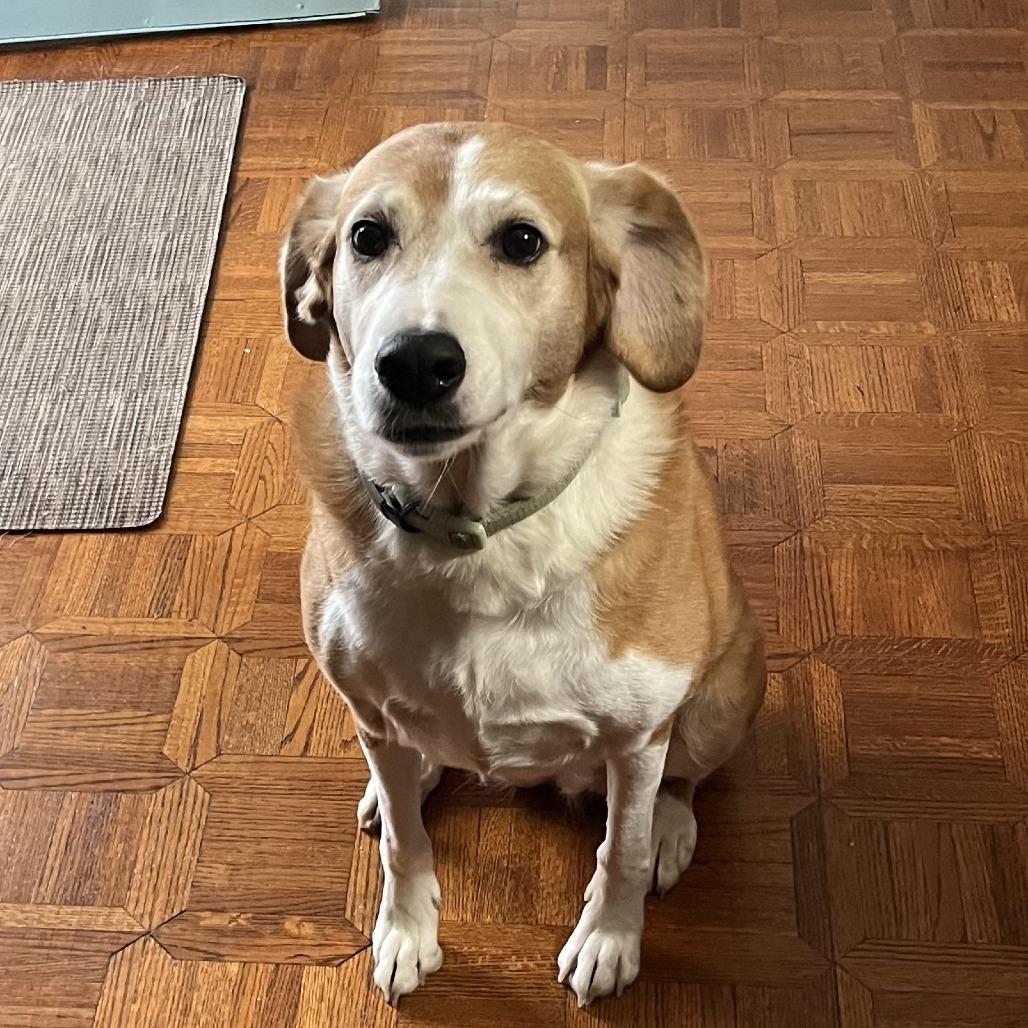 Jilly — thumbnail 2