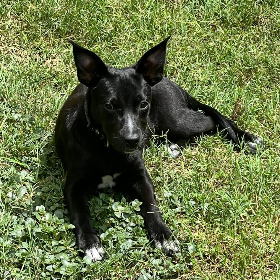Arly (Arlington) JuM photo 2
