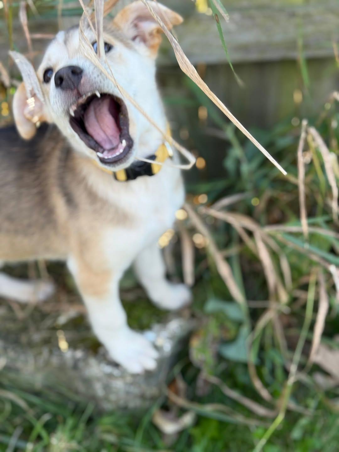 Wednesday thumbnail 2