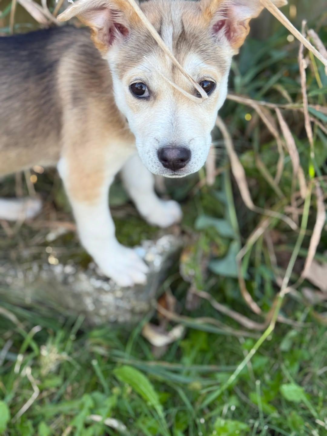 Wednesday thumbnail 3