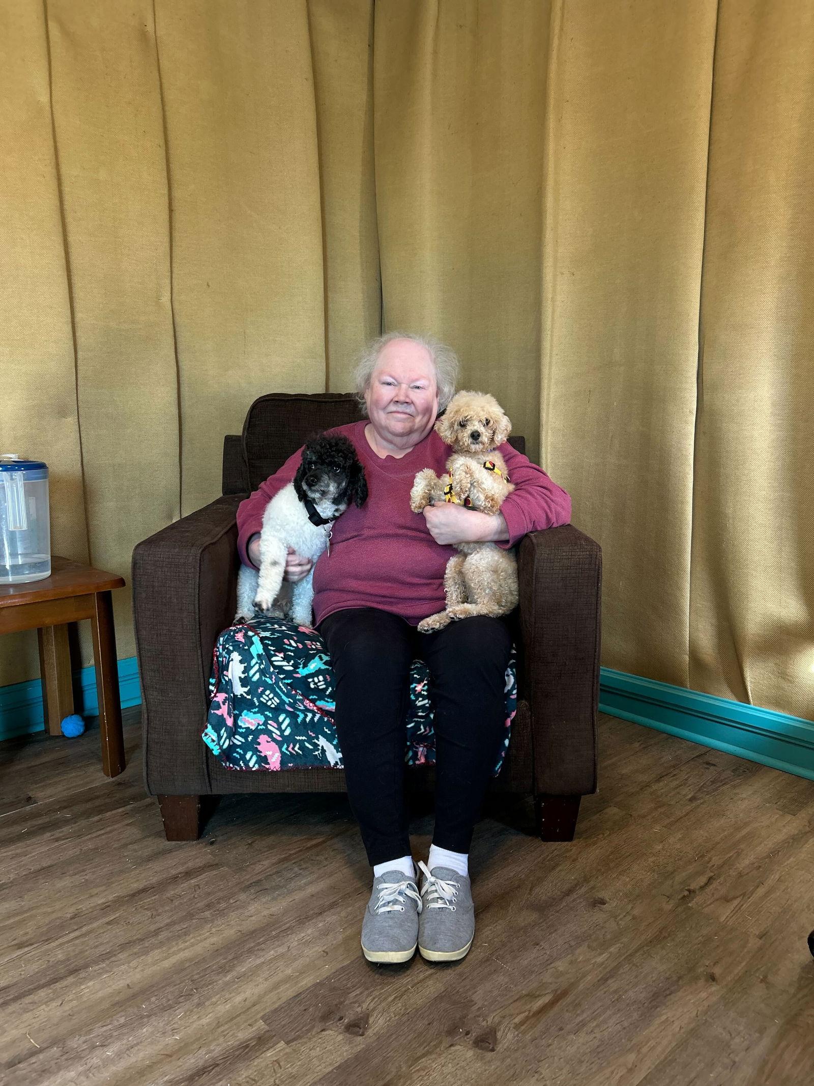 Mia Rose Oct 25, Adoptable, Adult Female Poodle.