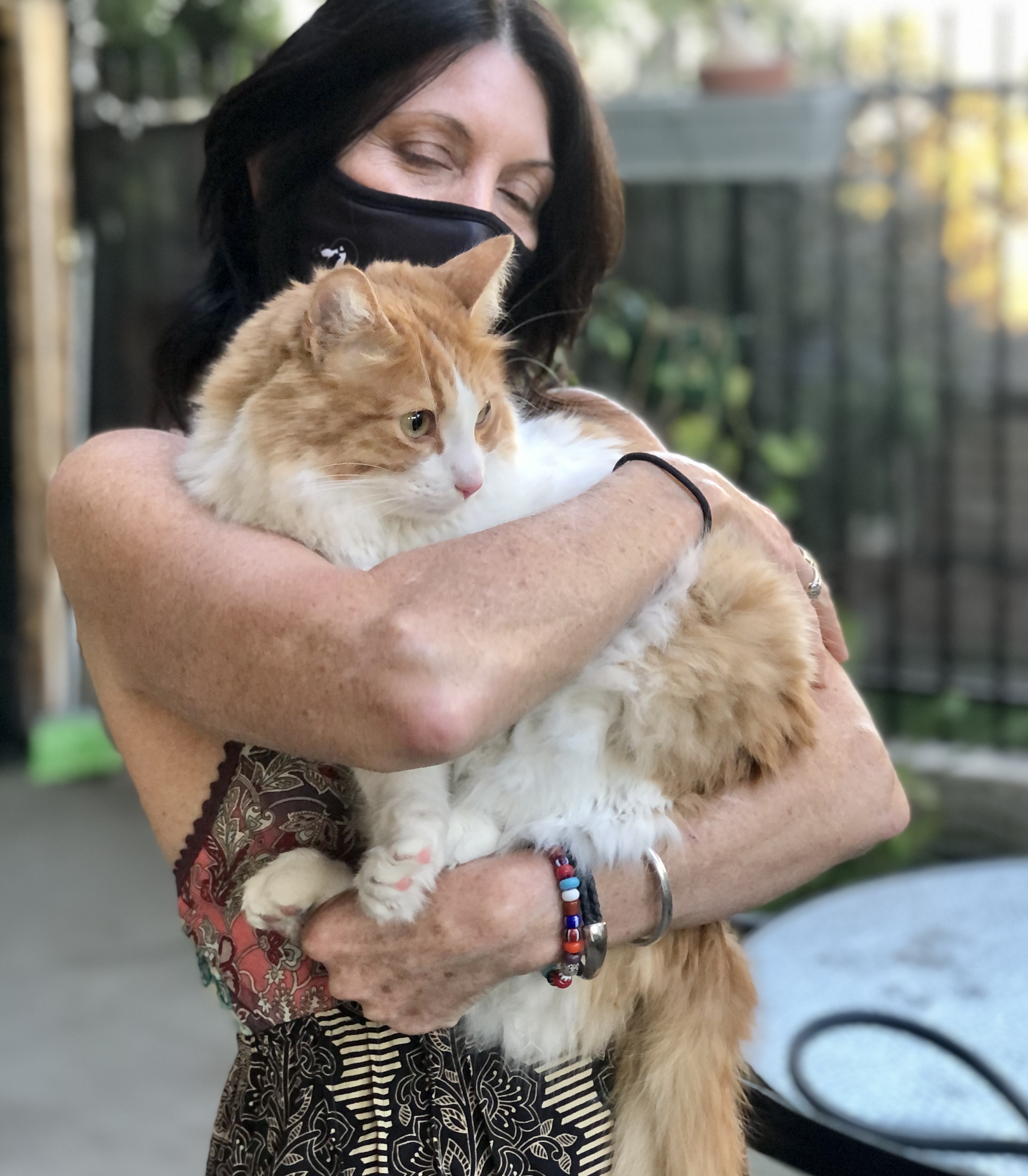 Charlie, a Adoptable mixed breed in North Hollywood, CA image 3/12