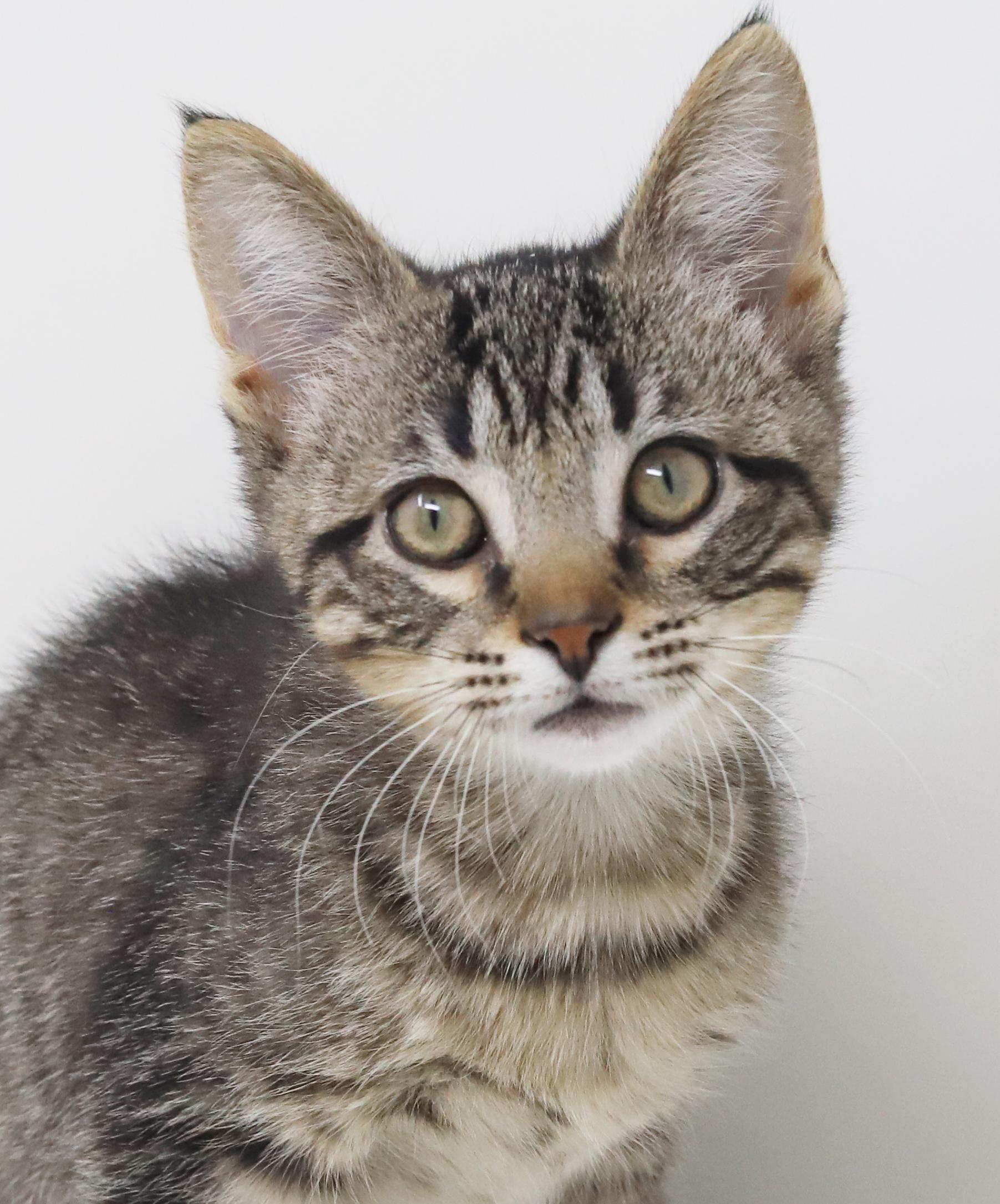 Jack Will Make U thumbnail 3