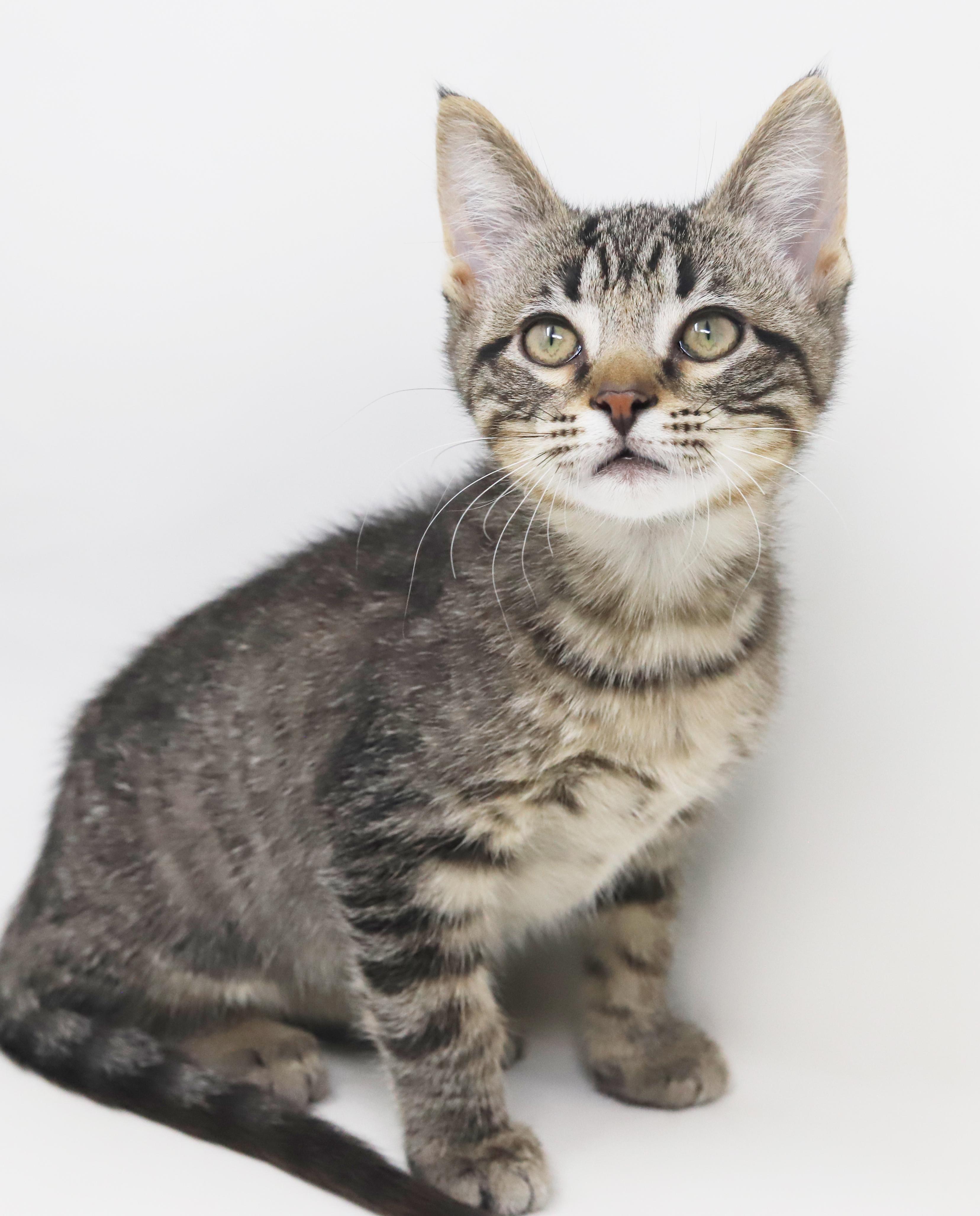 Jack Will Make U thumbnail 5