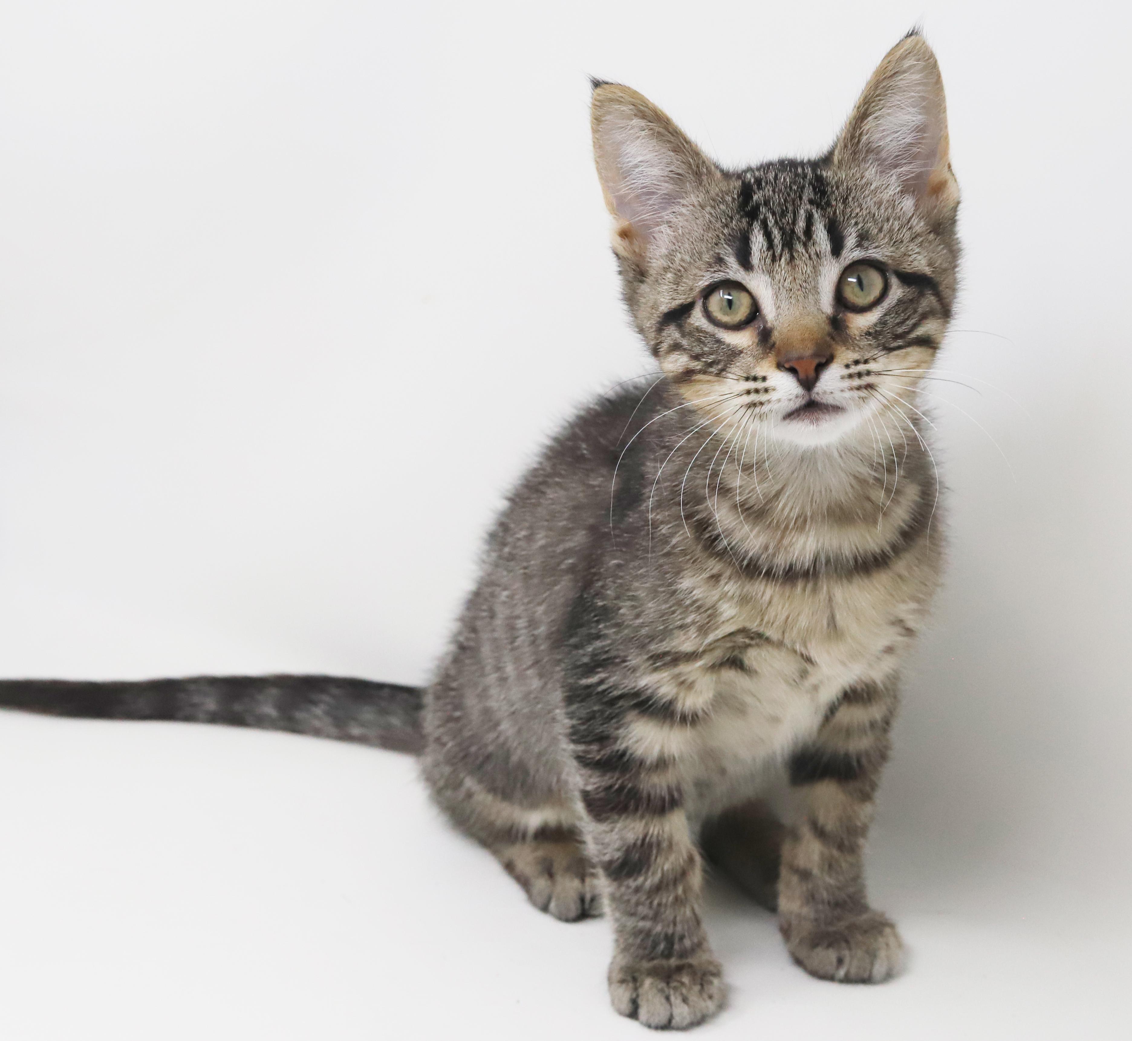 Jack Will Make U thumbnail 7