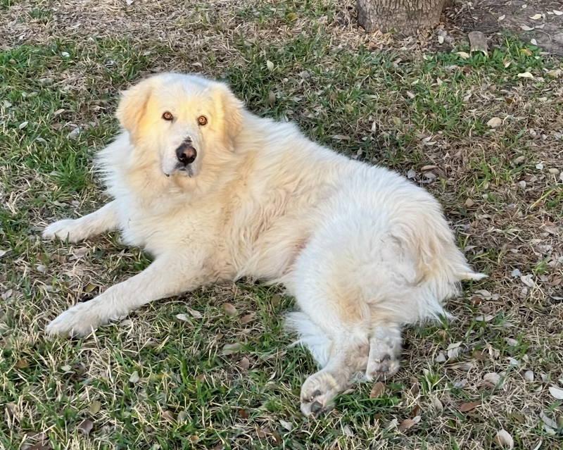 Theo — thumbnail 3