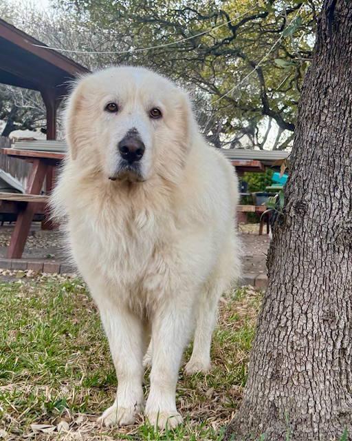 Theo — thumbnail 5