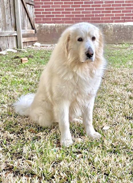 Theo — thumbnail 6