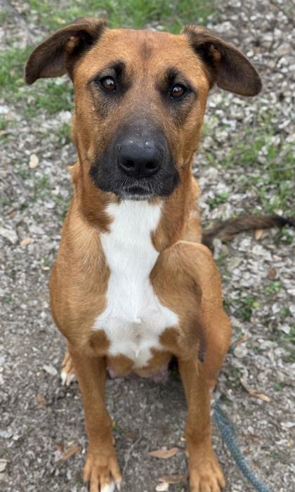 Jasmine — thumbnail 3