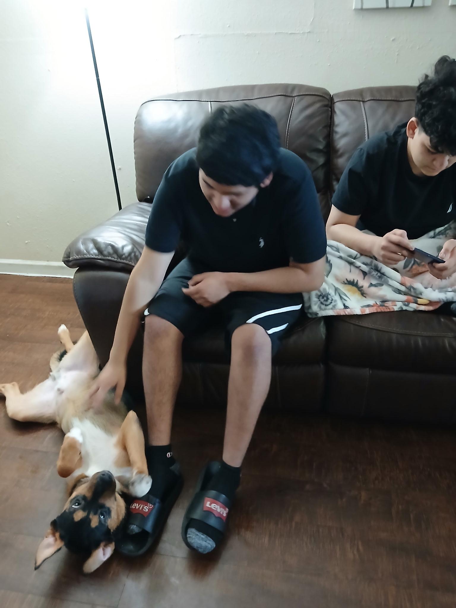 Rocky photo 3
