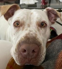 Chyna — thumbnail 2