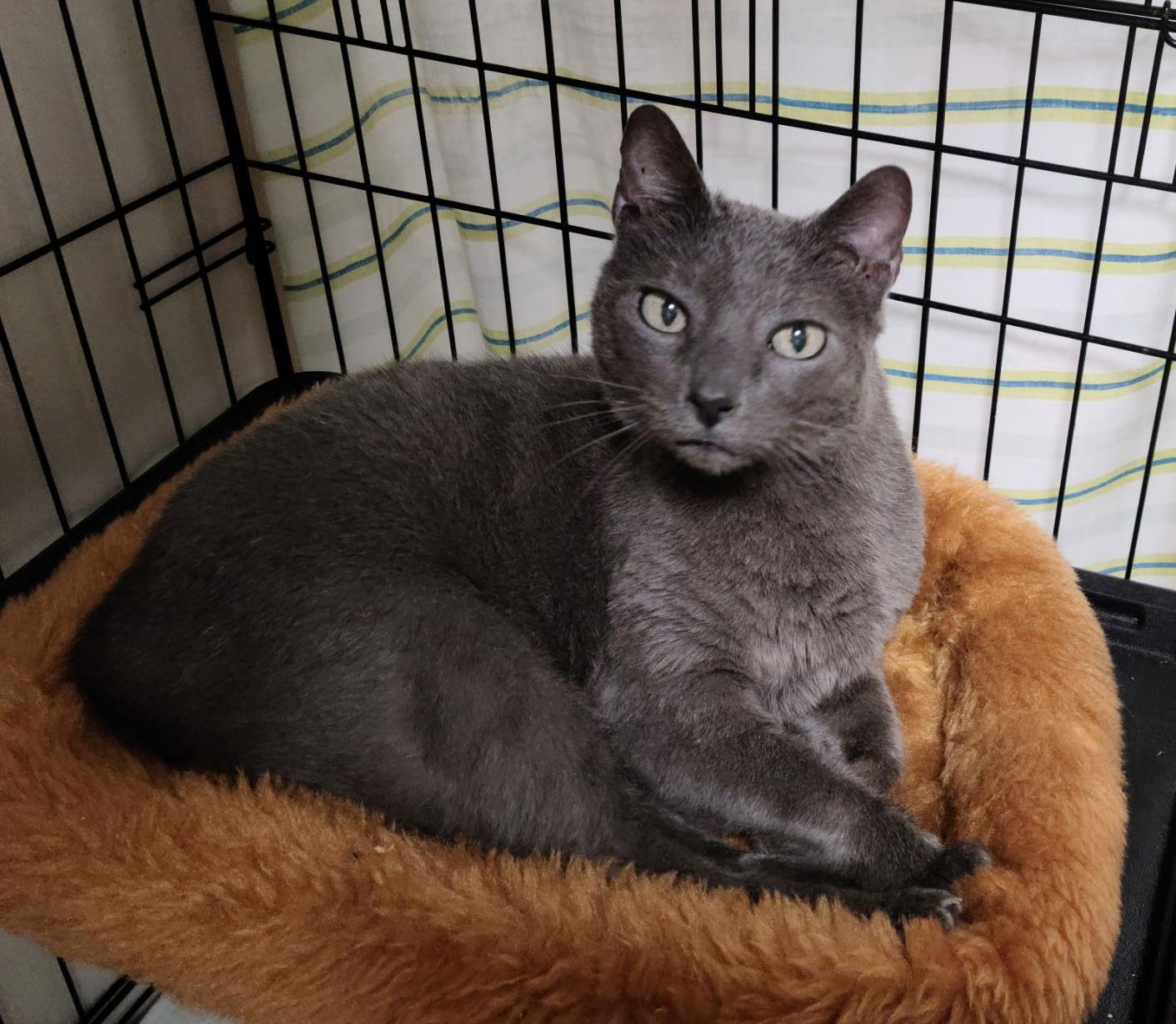 Natasha — thumbnail 2