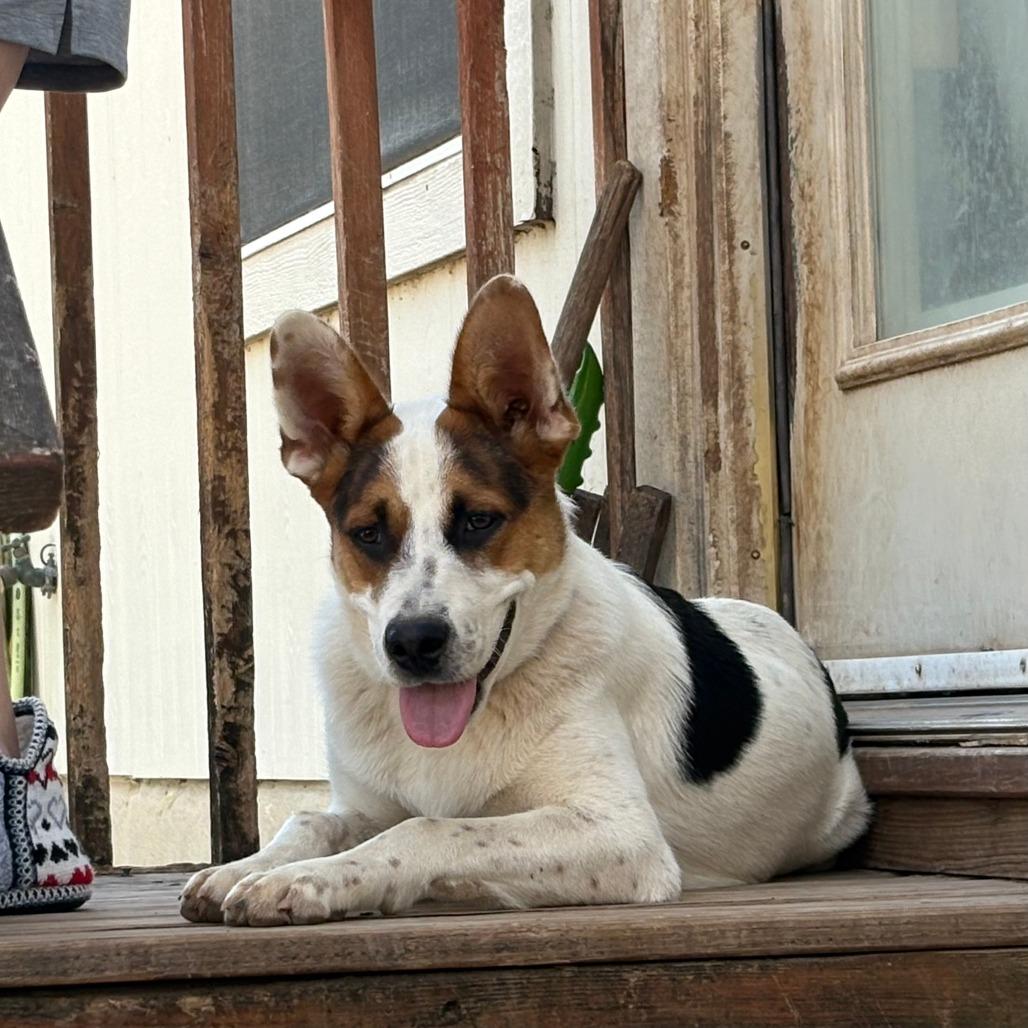 Radar — thumbnail 3