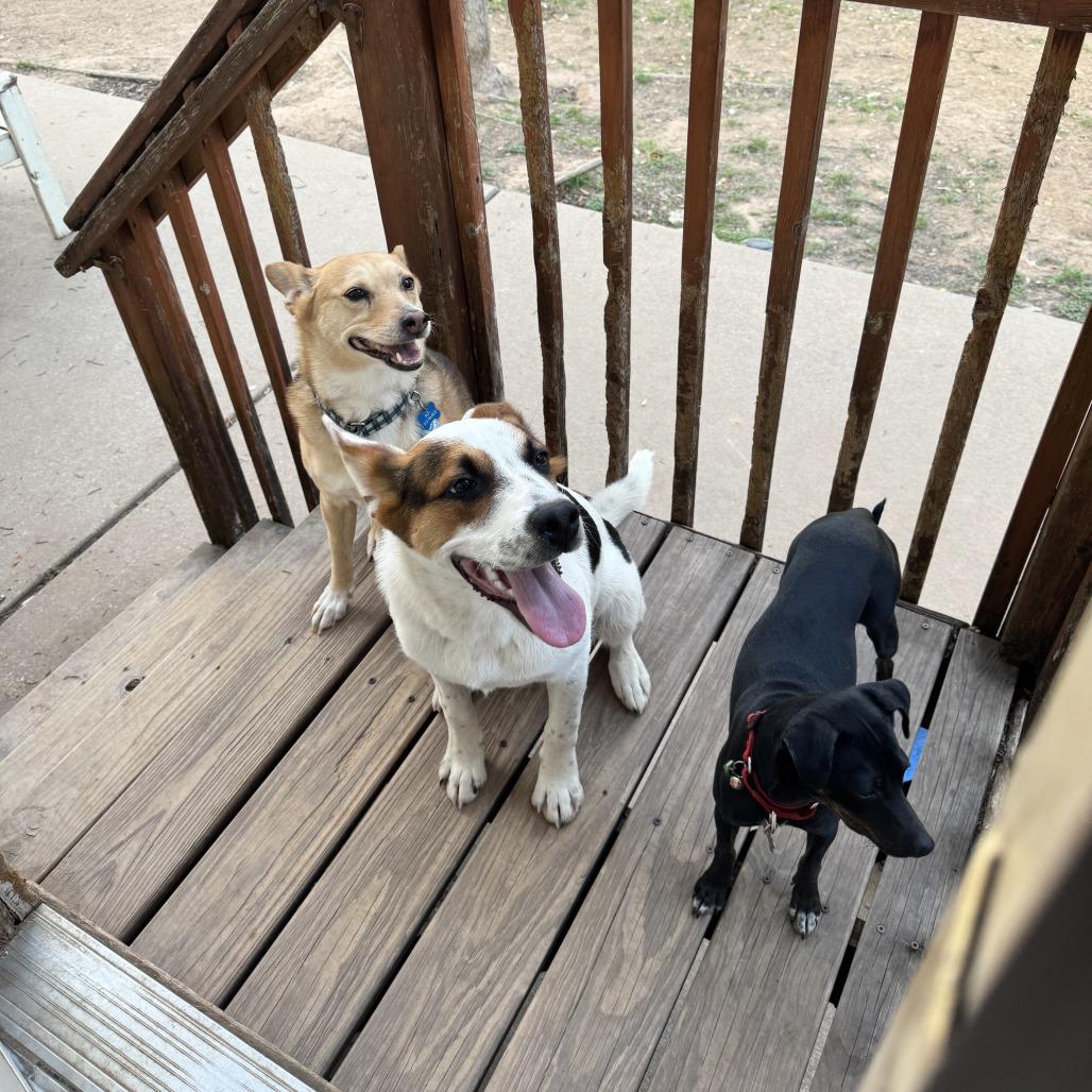 Radar — thumbnail 5