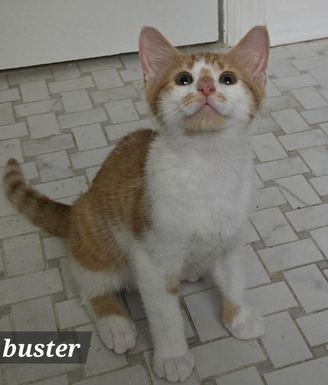 Buster