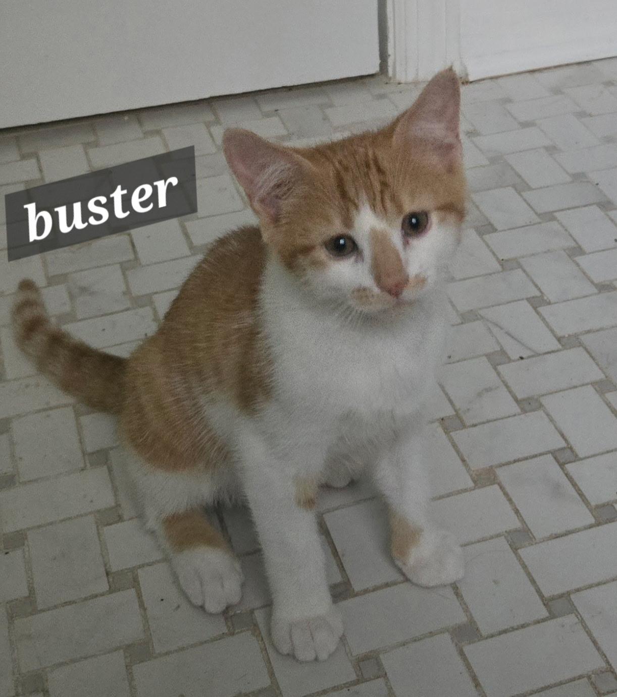 Buster