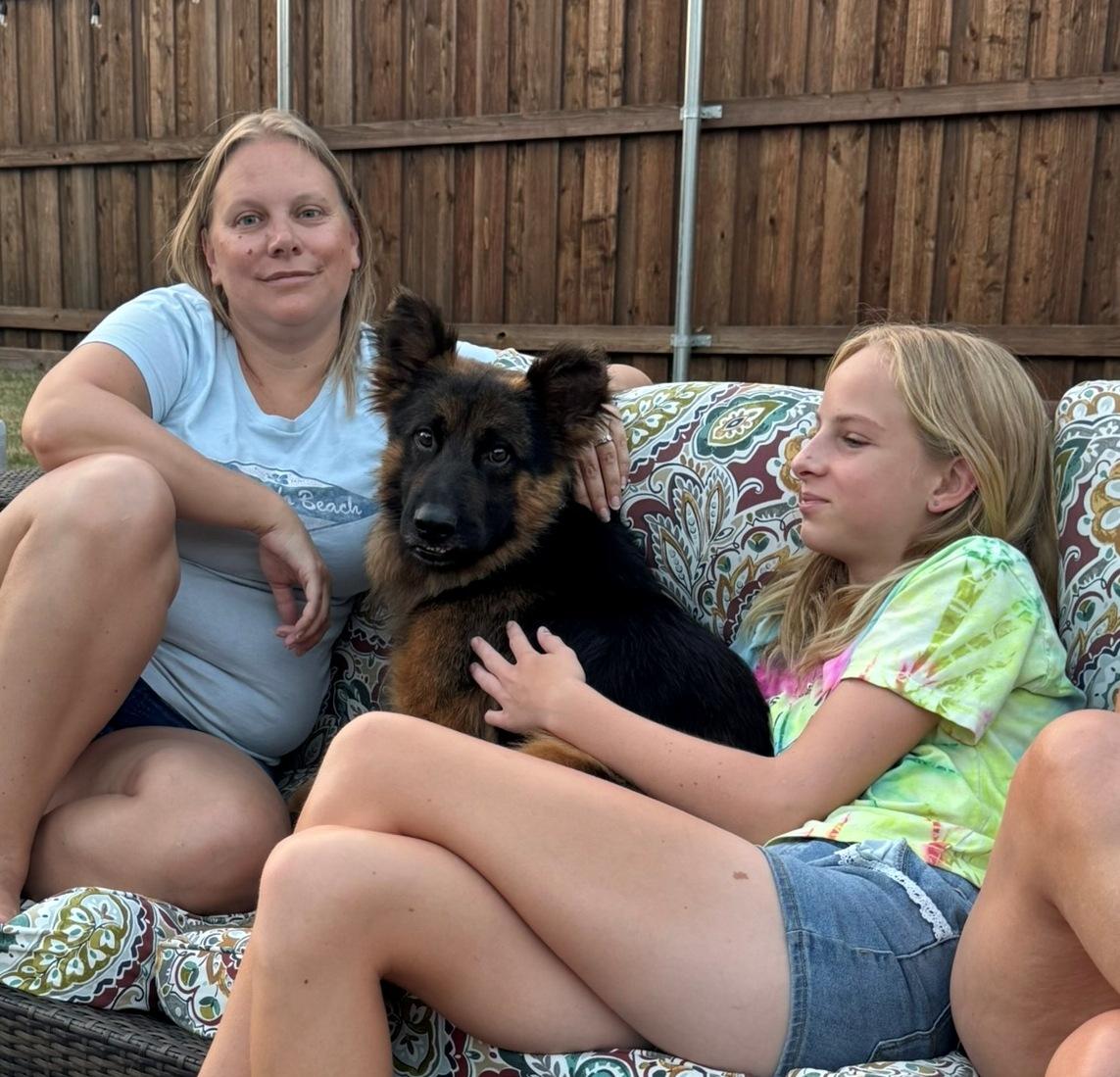 Bexar, a ADOPTABLE German Shepherd Dog in Dallas, TX image 3/5