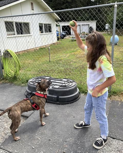 Enlarge Quinn, a Adoptable mixed breed in Crescent city, CA image 4/6