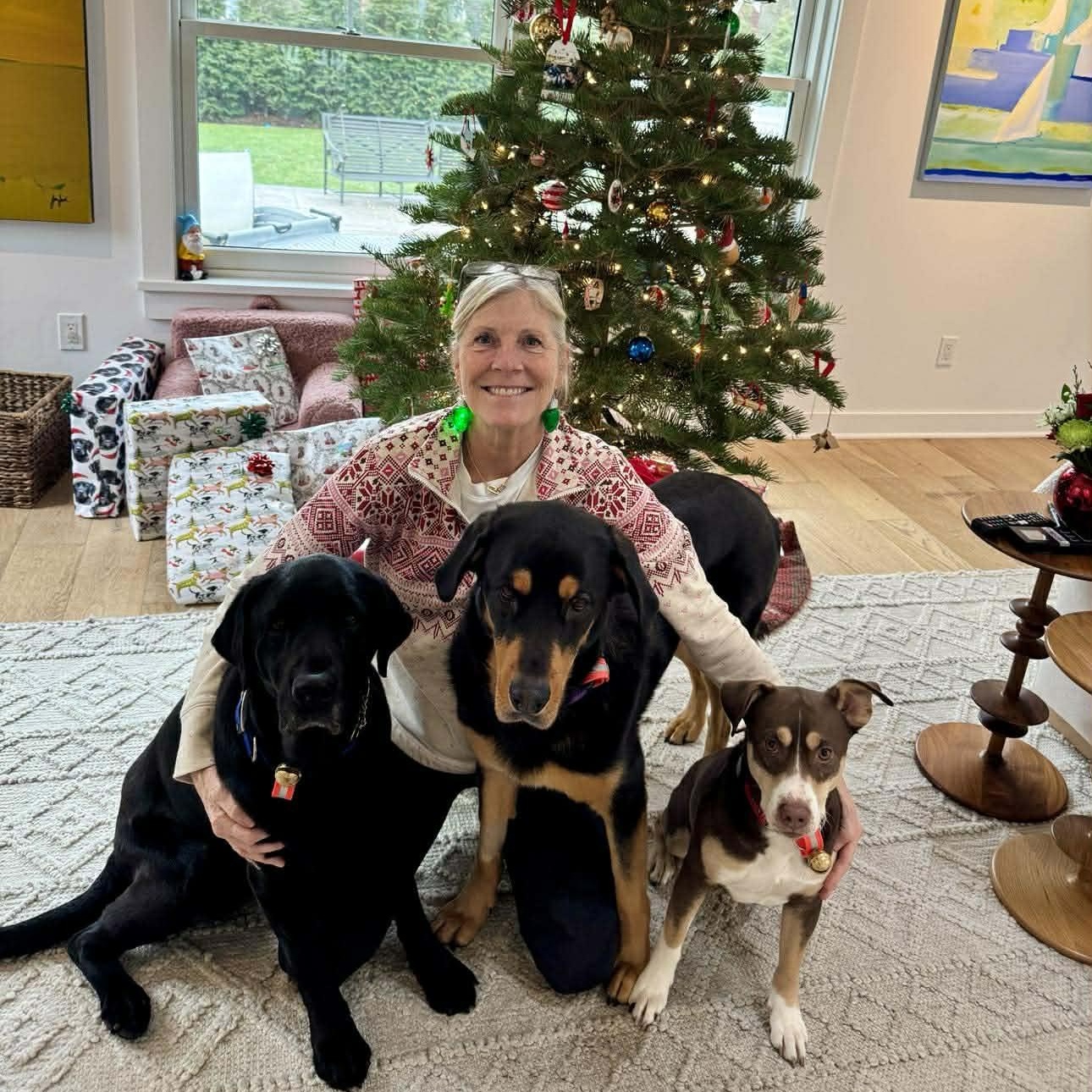 Brownie, a ADOPTABLE mixed breed in Penfield, NY image 4/5