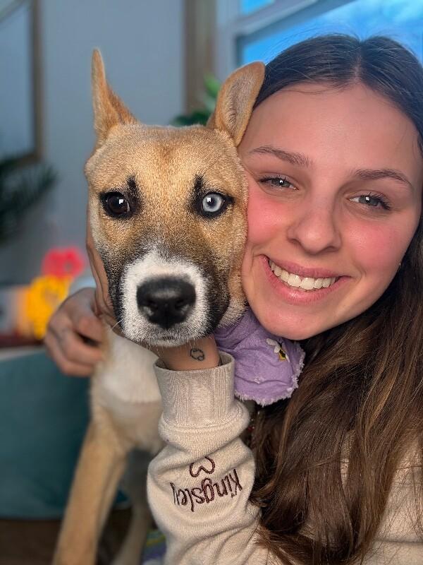 Enlarge Honey Lullaby Skye, a Adoptable mixed breed in Montreal, QC image 5/6