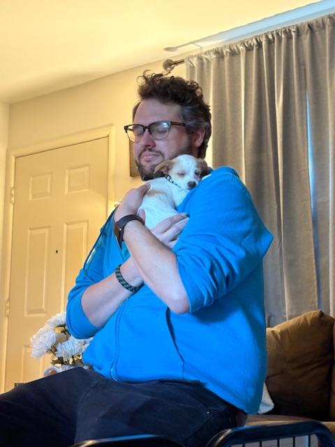 Enlarge Toasty marshmellow, a Adoptable mixed breed in san ramon, CA image 4/6