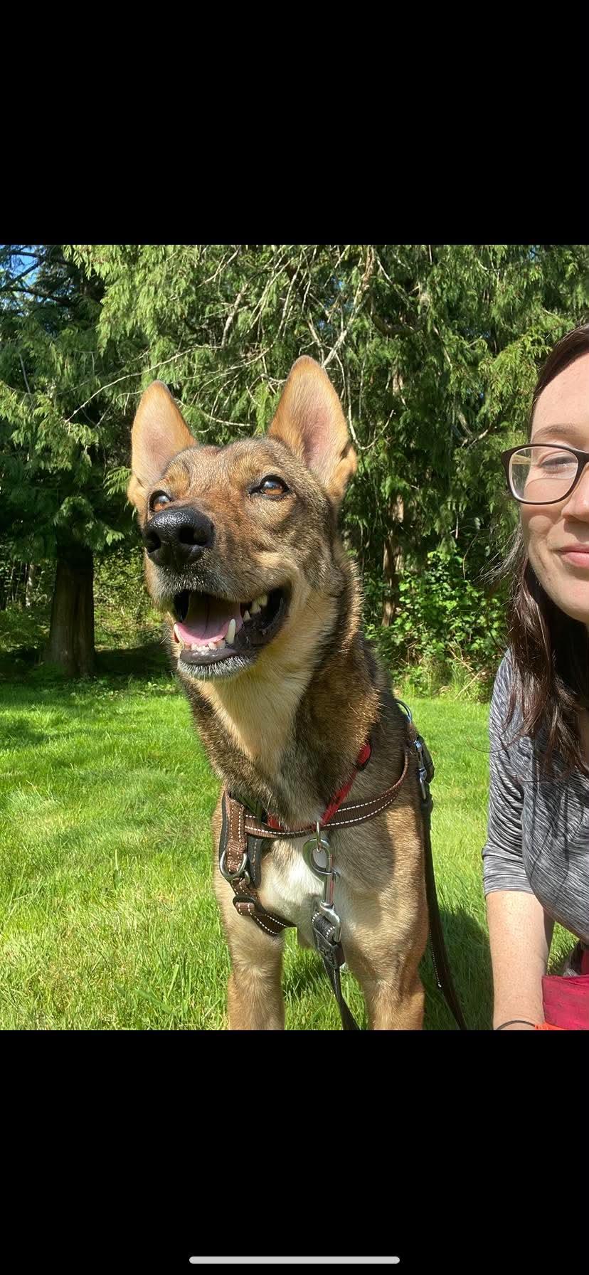 ADOPTION PENDING Haven, a ADOPTABLE mixed breed in Lake Cowichan, BC image 2/6