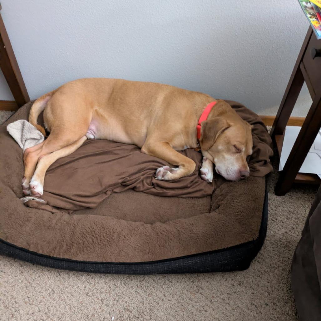 Sir Arthur--In Foster