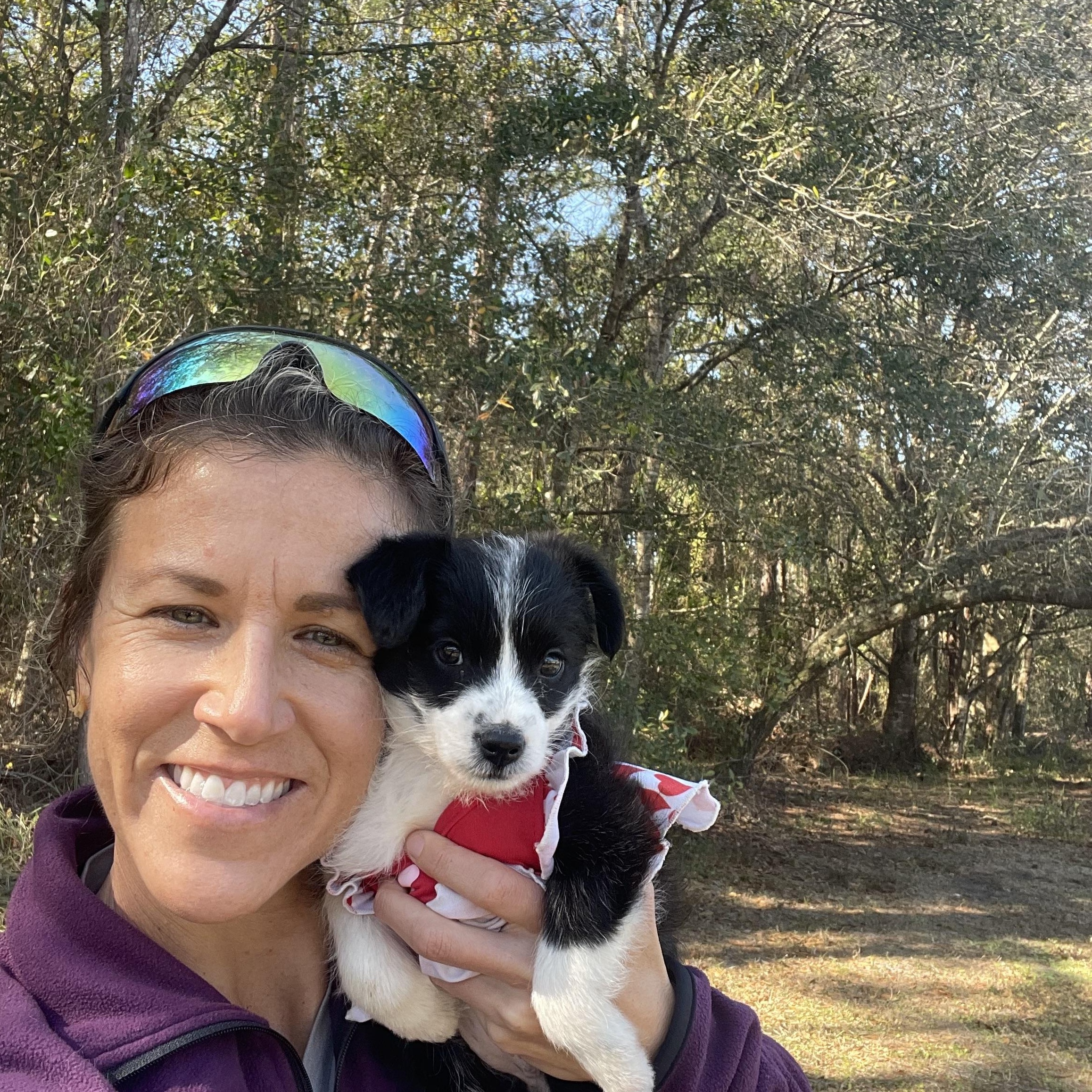 Enlarge Ebbi, an adopted mixed breed in Sebring, FL image 5/5