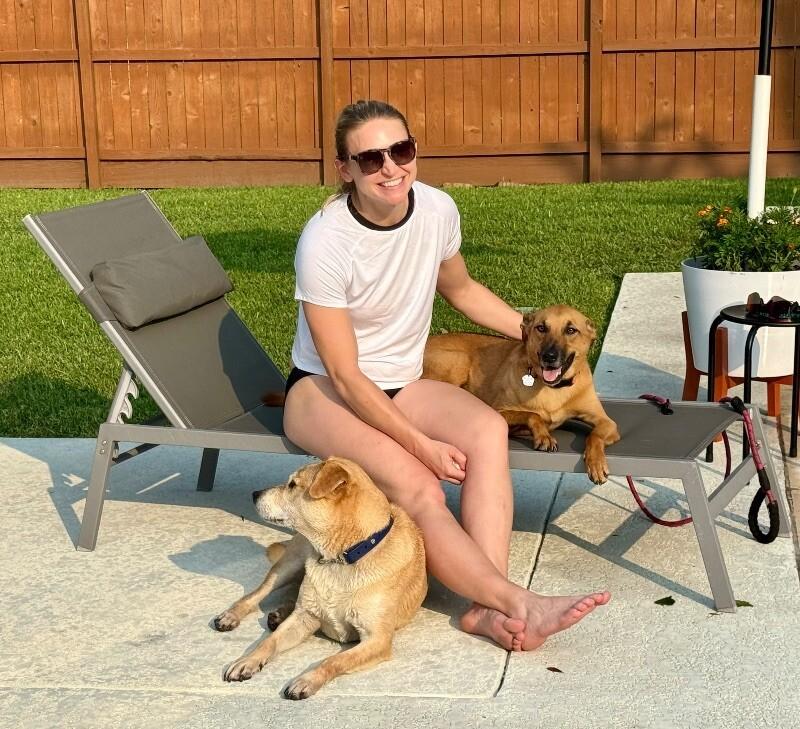 Dog for adoption - Sheldon Cooper, a Black Mouth Cur & Greyhound Mix in ...