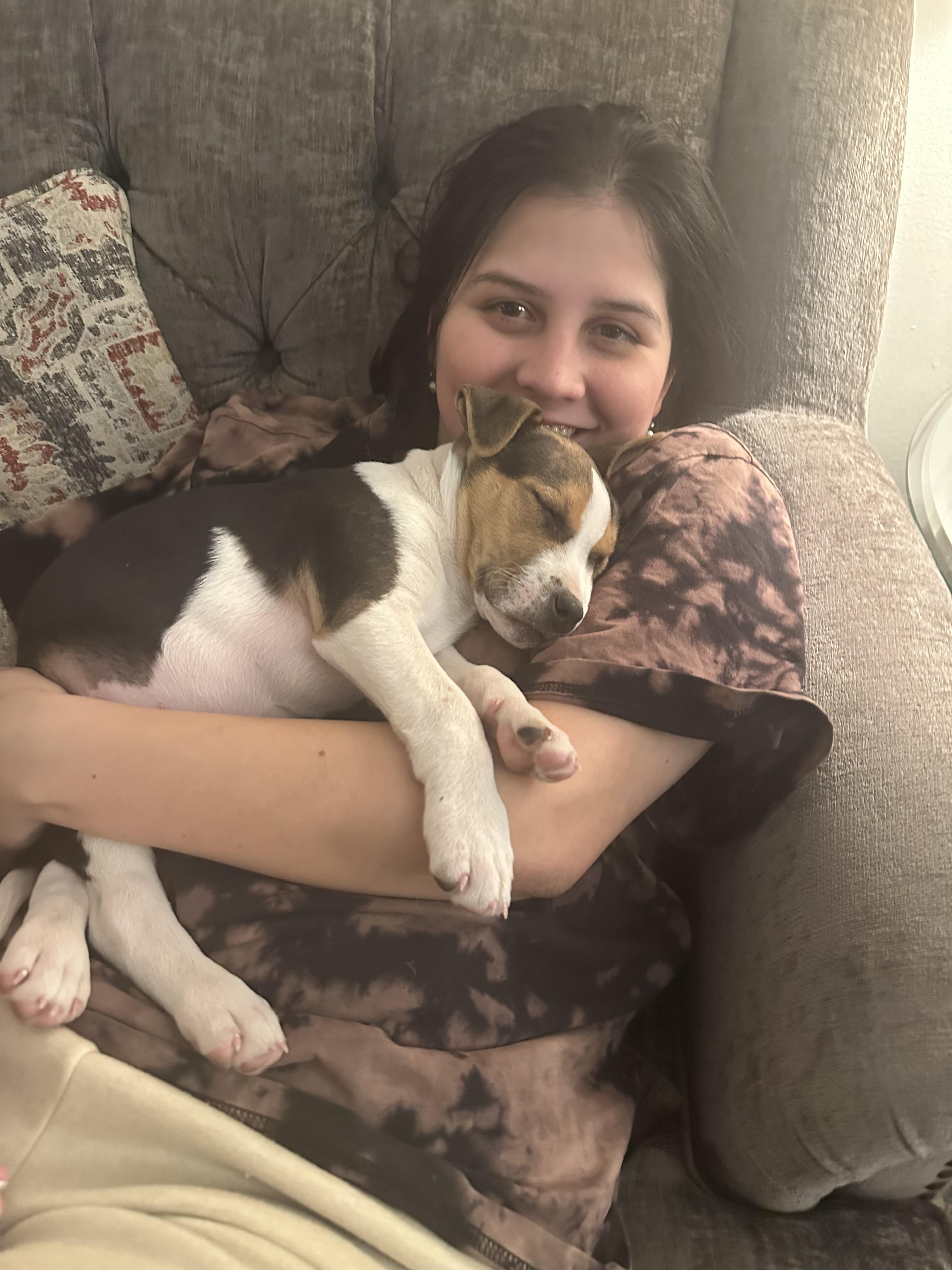 Enlarge Hercules , a ADOPTABLE mixed breed in Newfoundland, NJ image 3/5