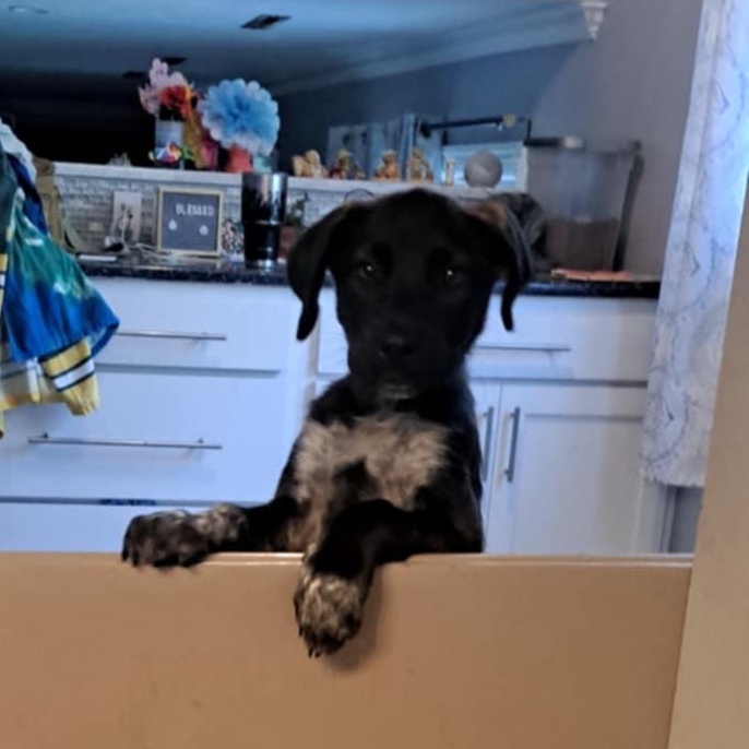 Max