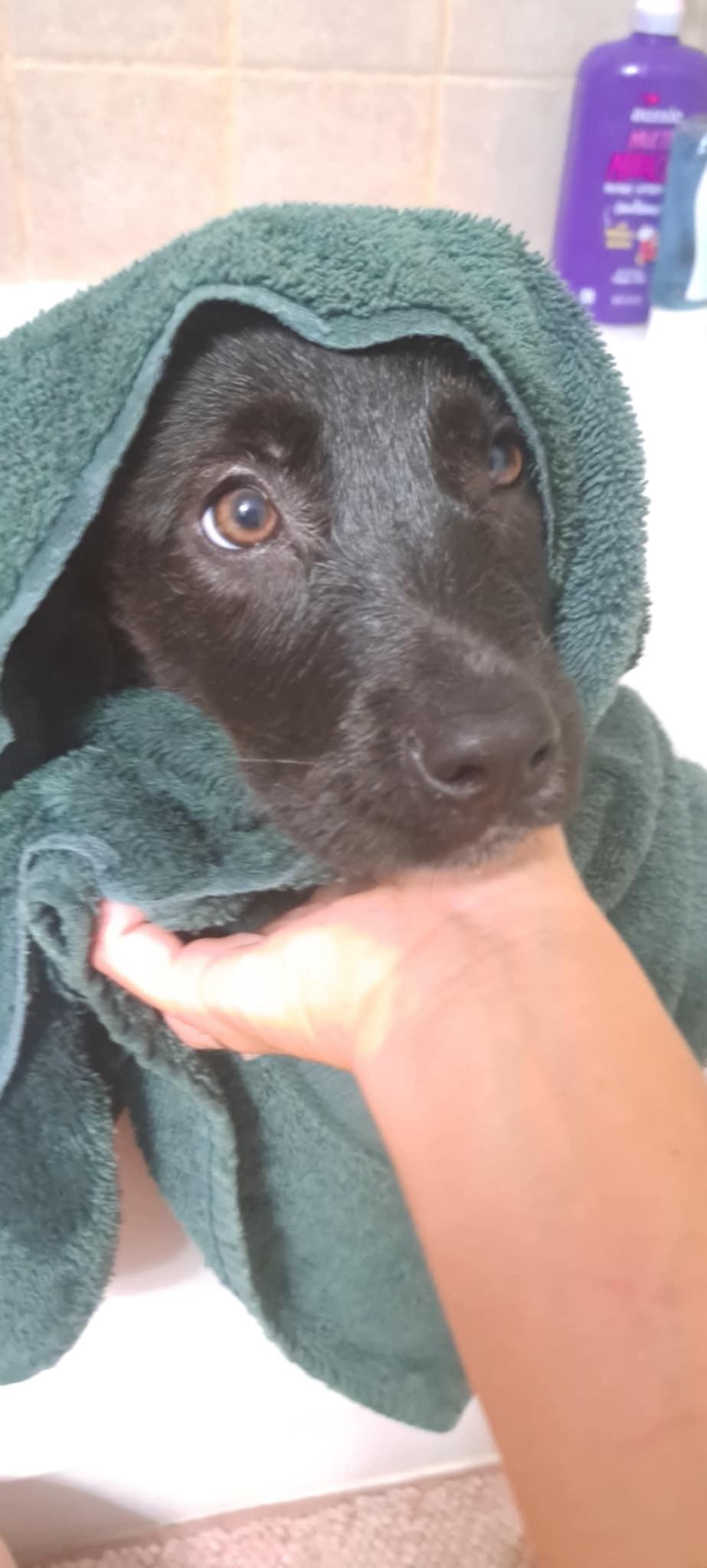 Max