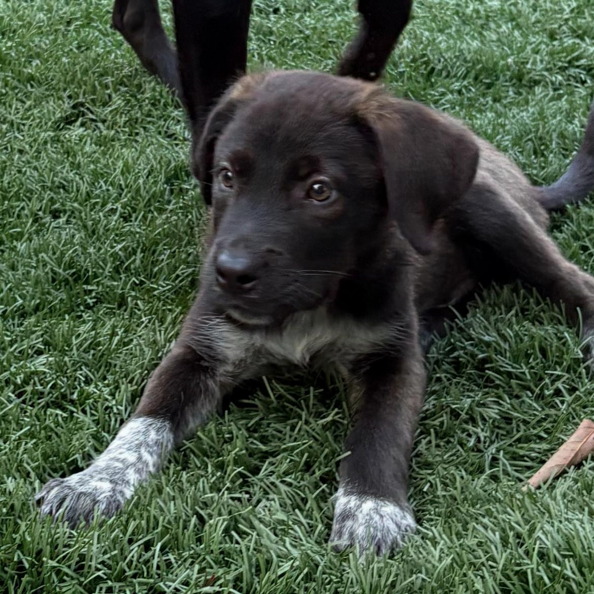 Max