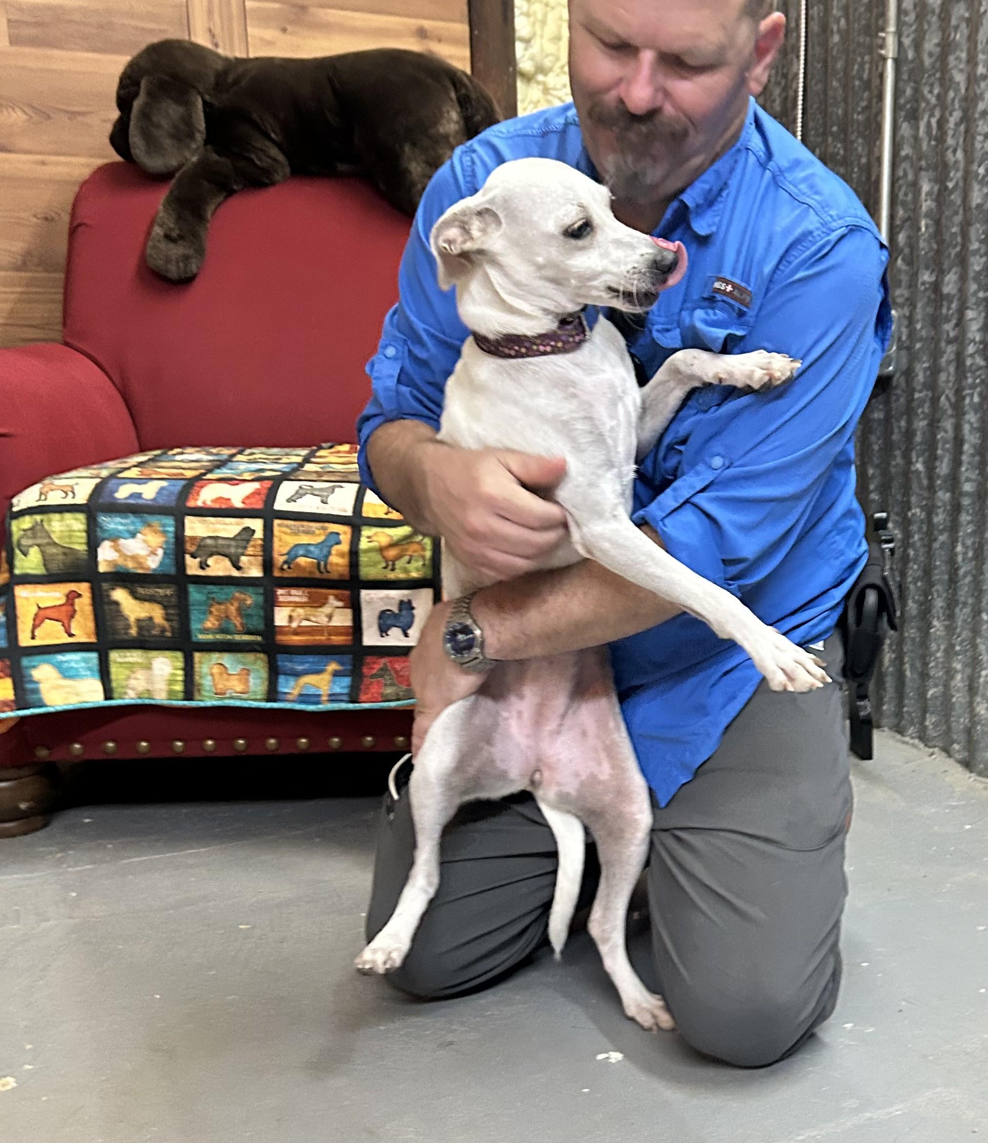 Enlarge Wanda, a Adoptable mixed breed in Llano, TX image 4/5