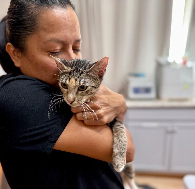 Watermelon Sugar — thumbnail 3