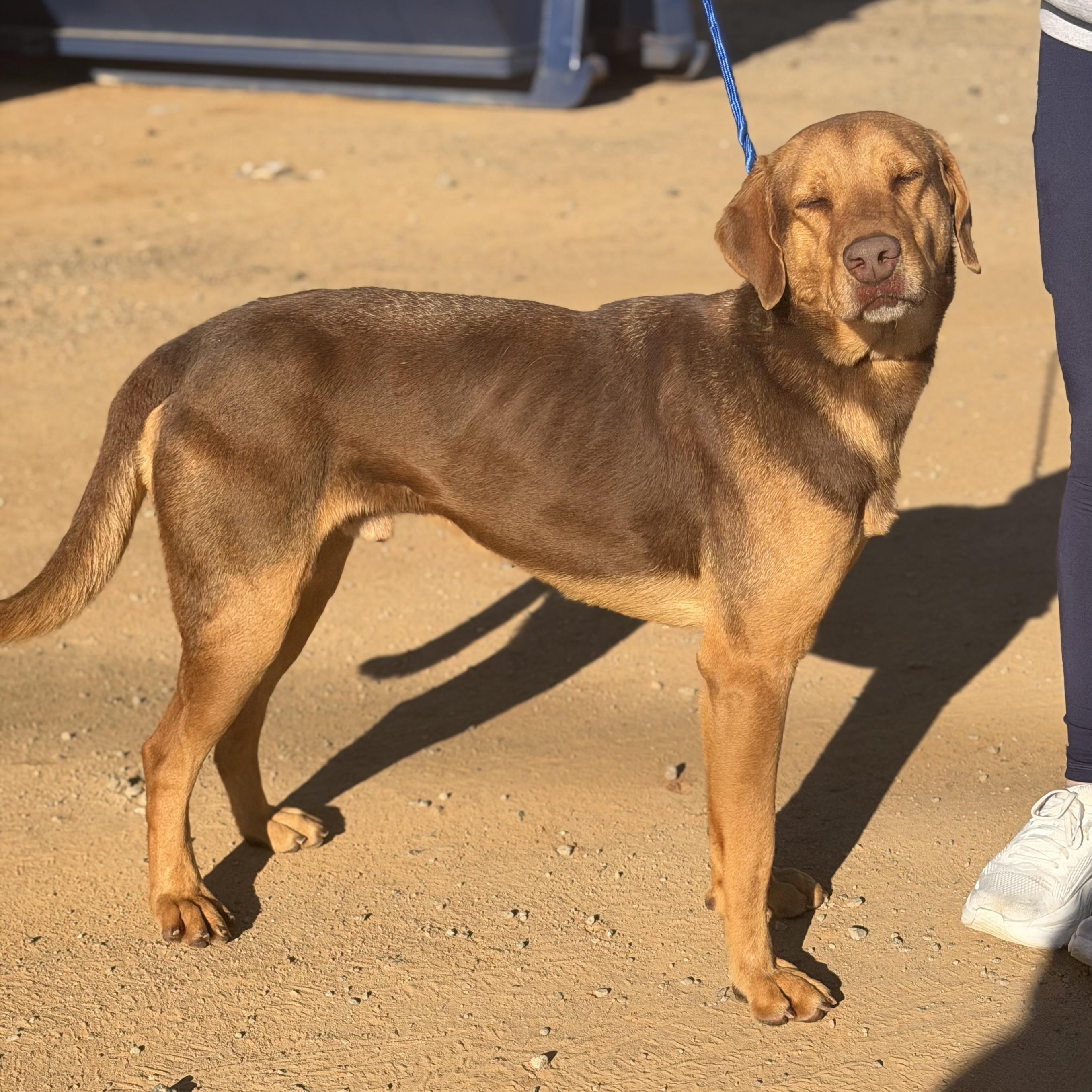 Cosmo — thumbnail 6