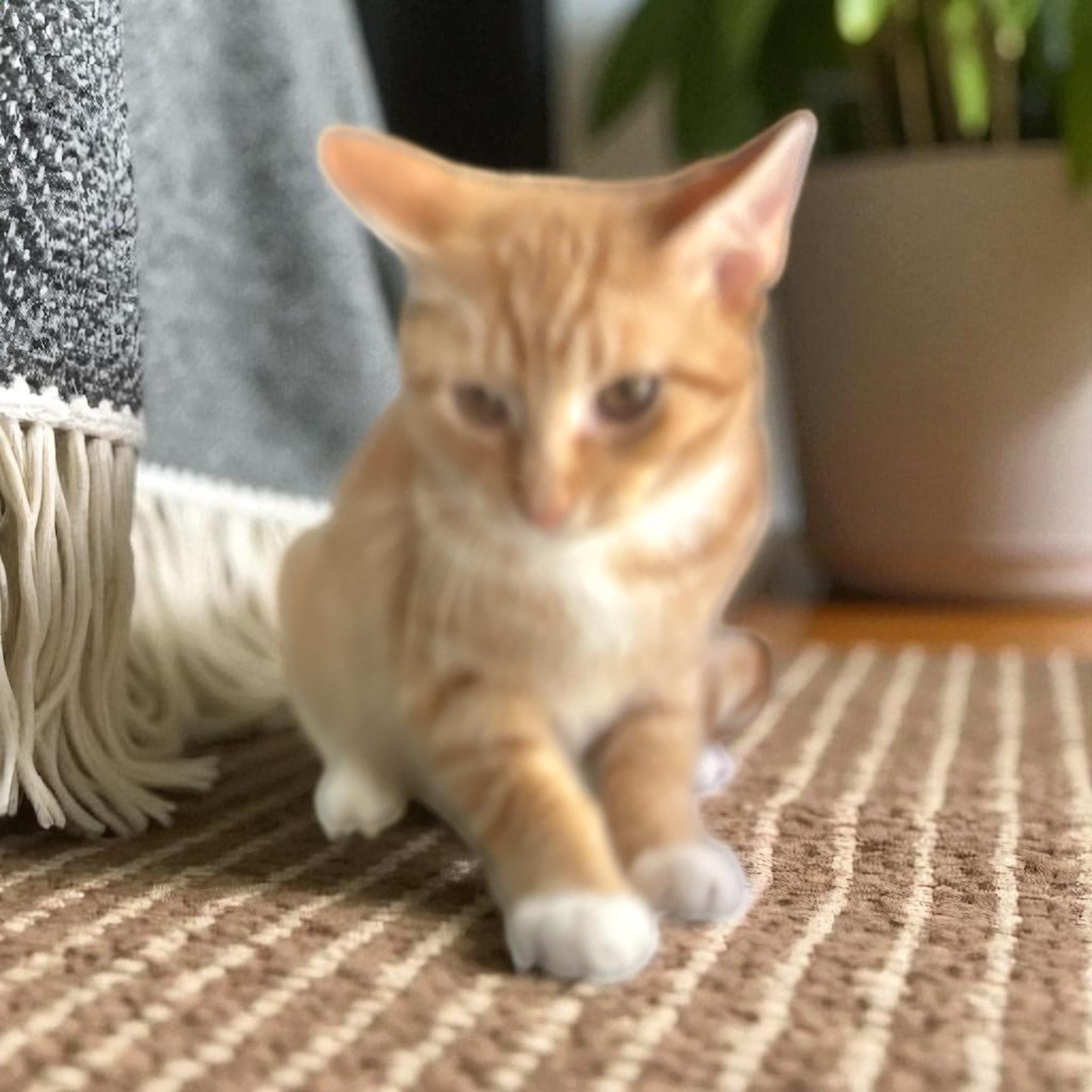 Rusty