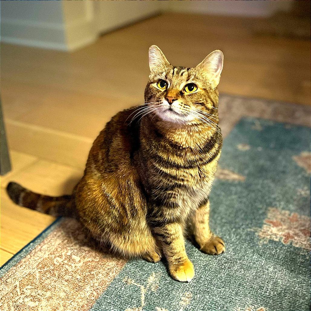 Alyx — thumbnail 2