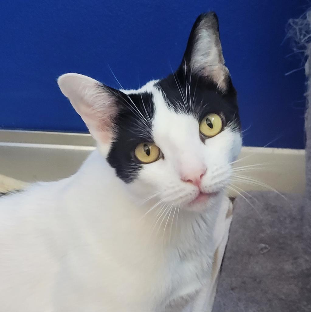 Harry — thumbnail 3