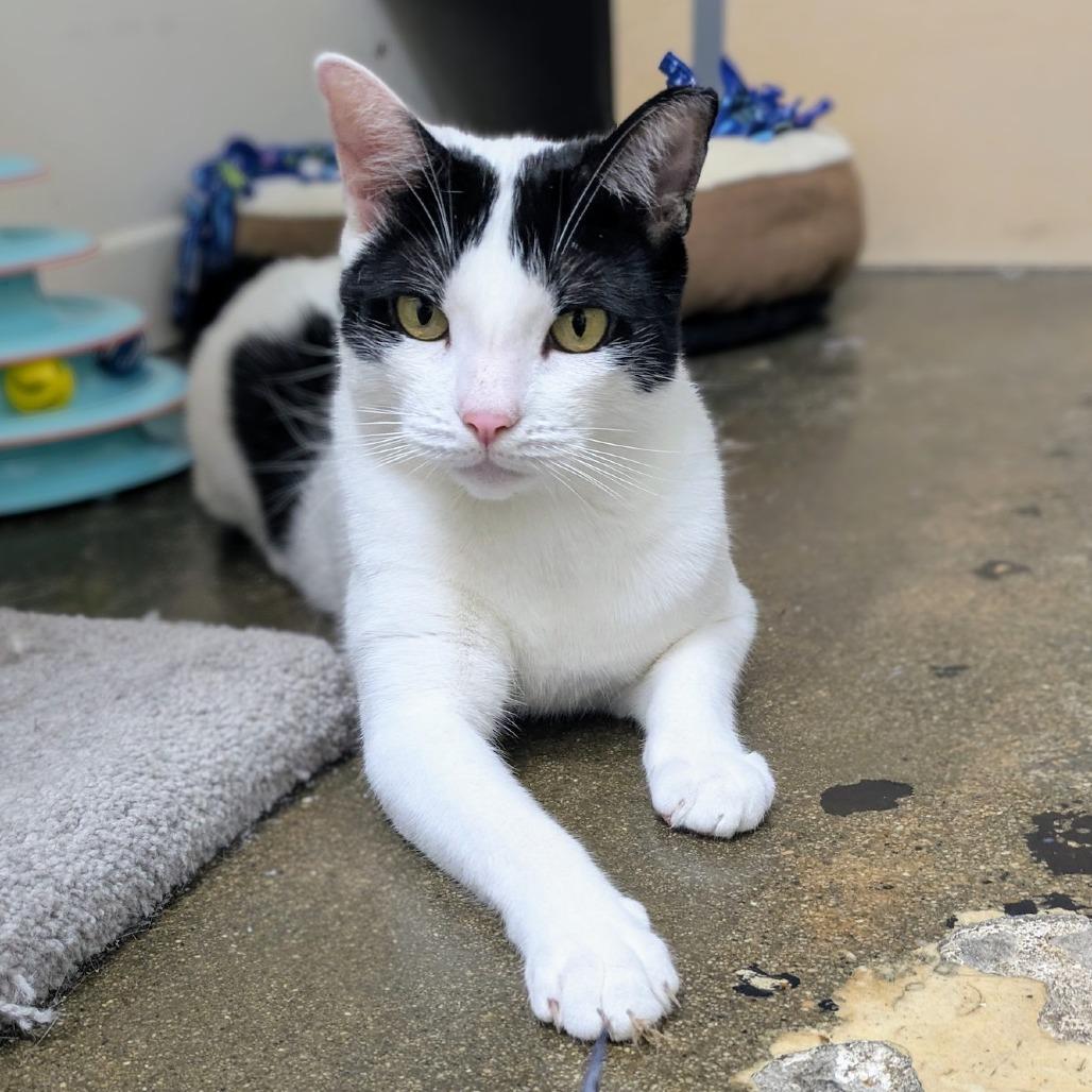 Harry — thumbnail 4