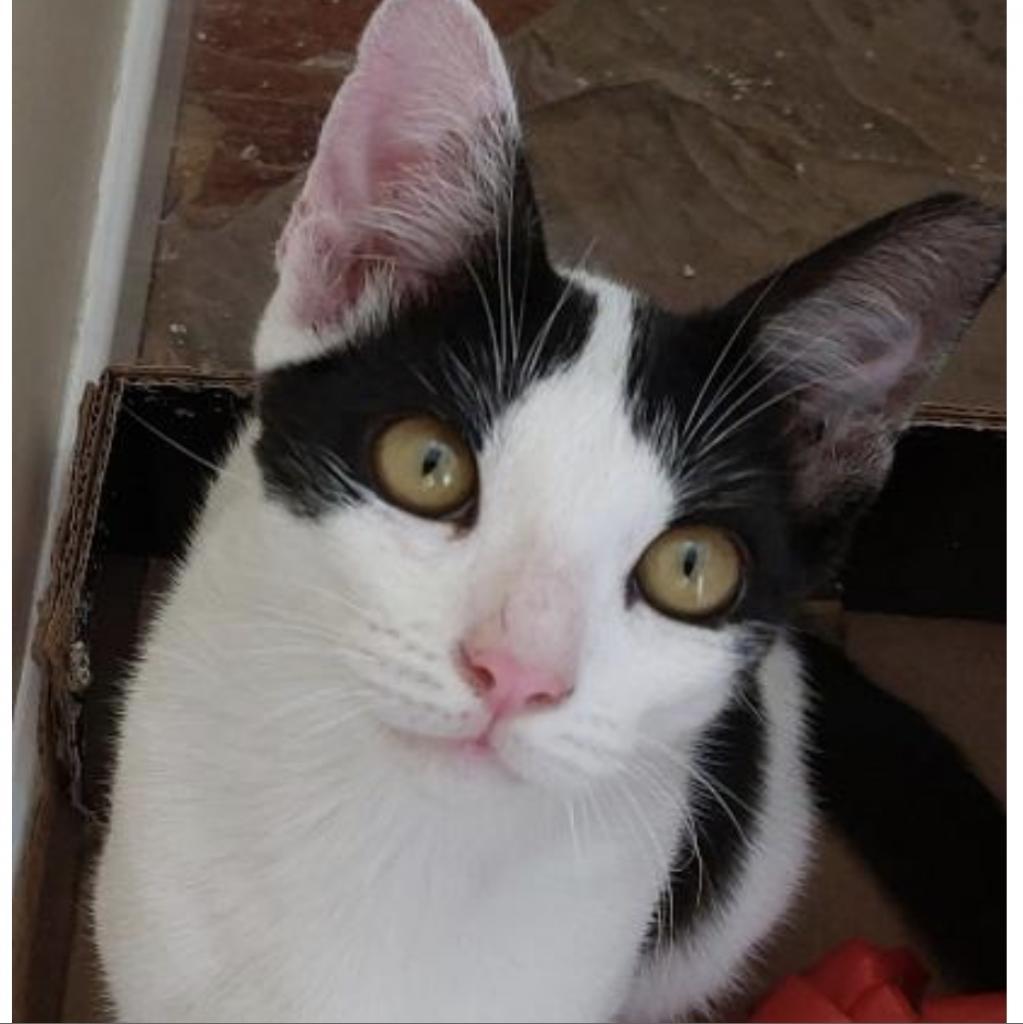 Harry — thumbnail 5