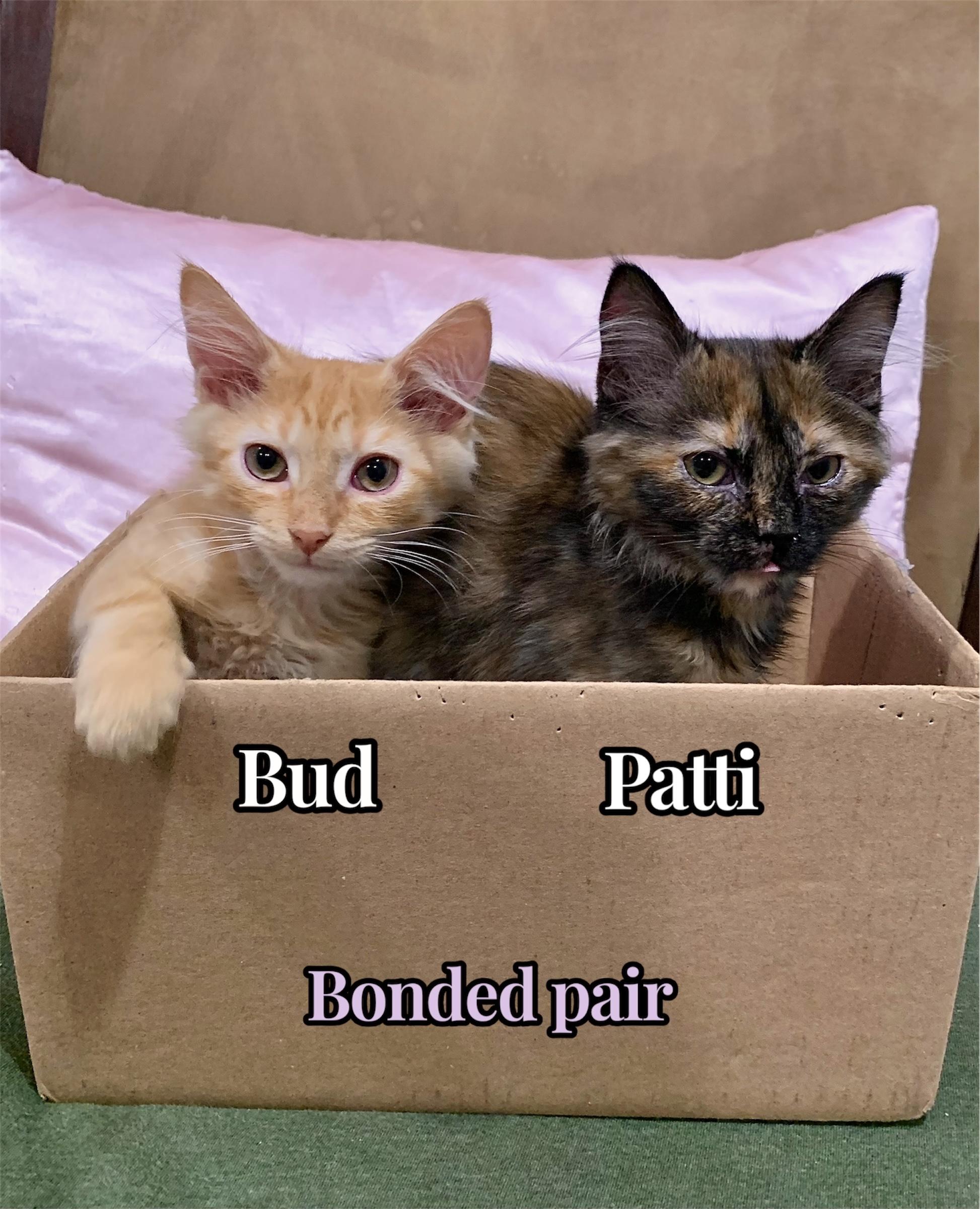 Bud & Patti