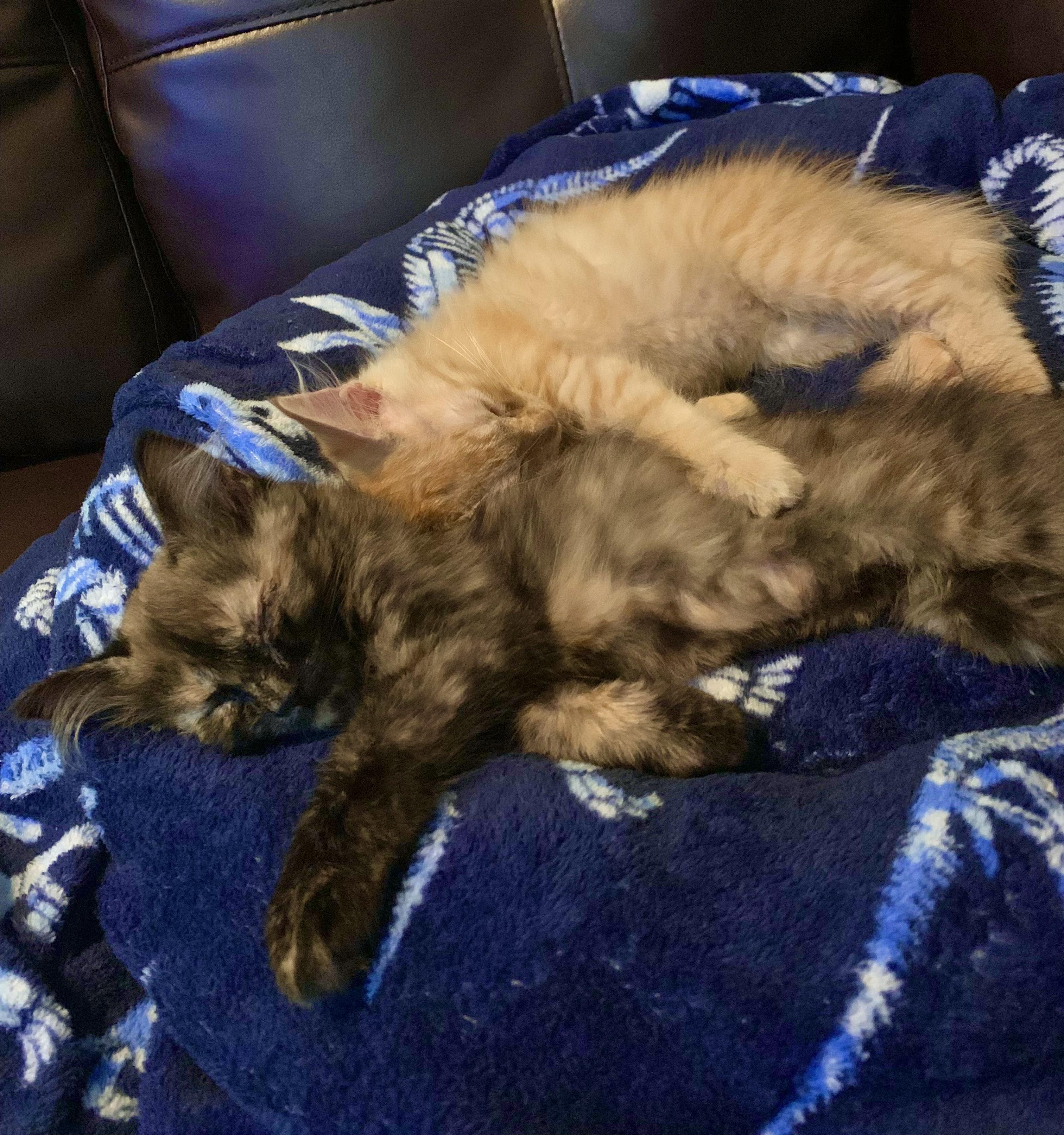 Bud & Patti thumbnail 4